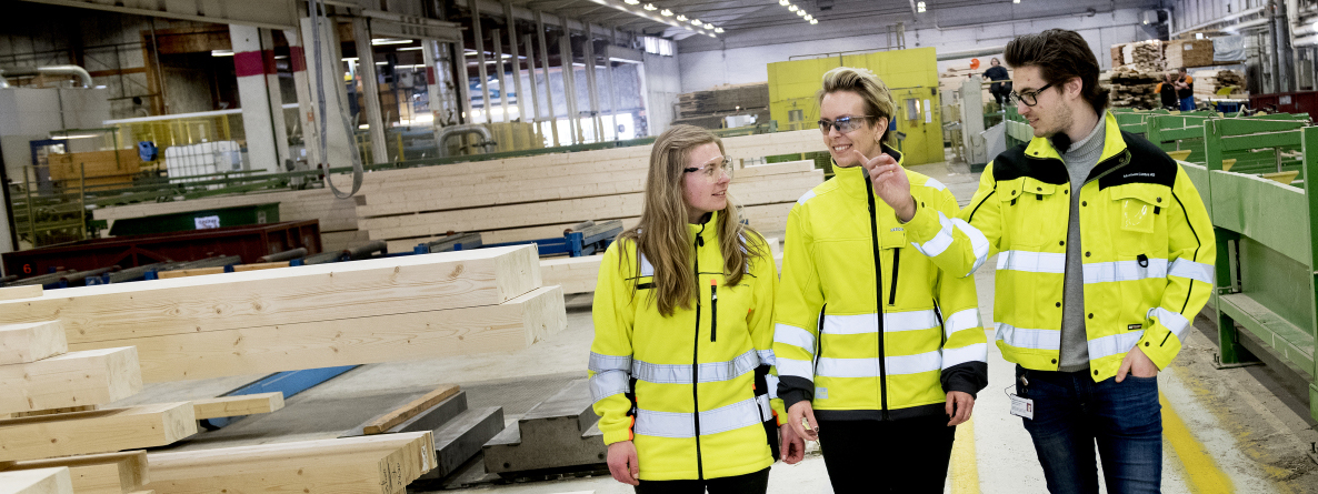 Moelven vil ha unge ingeniørtalenter