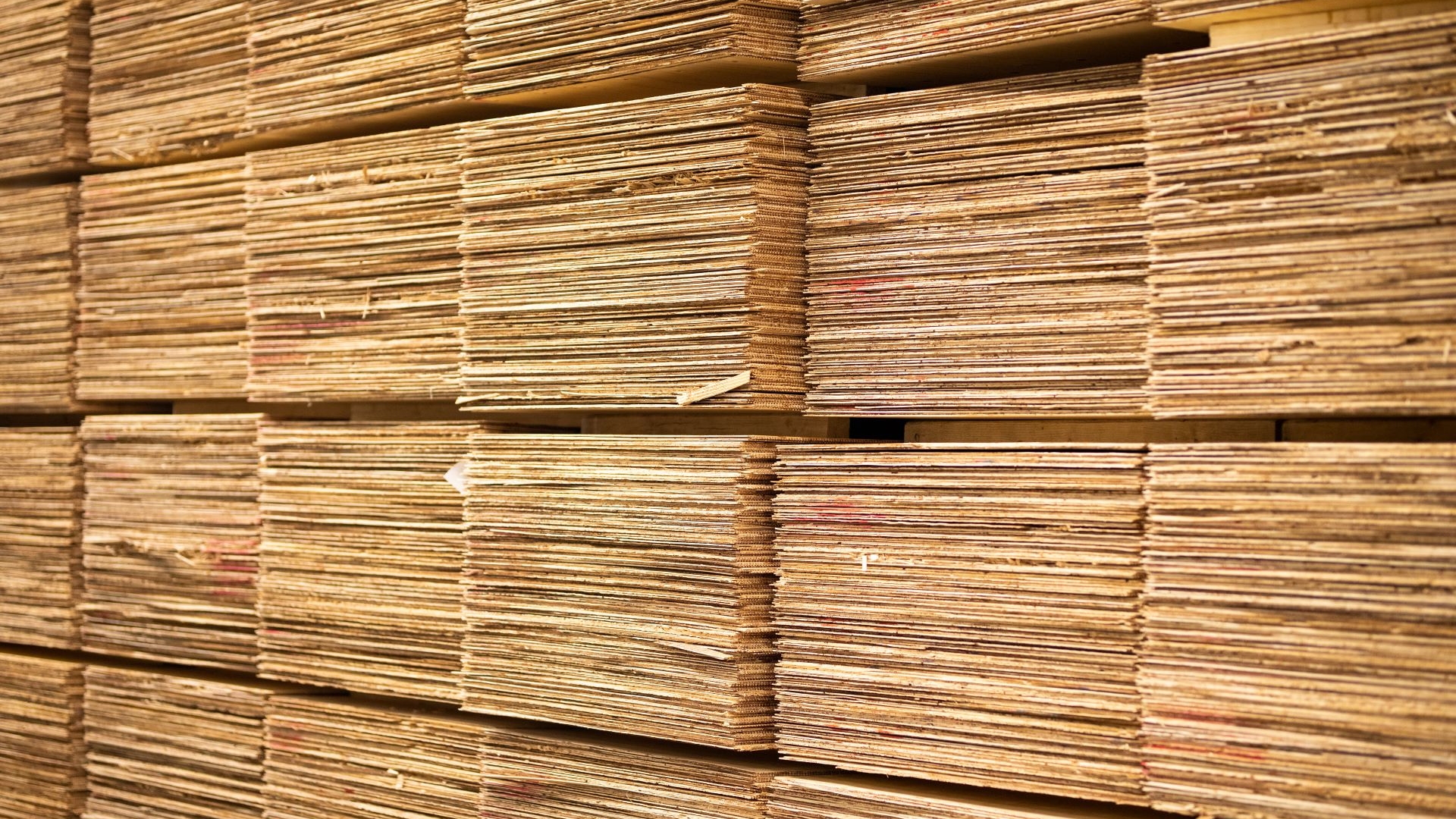 Plywood