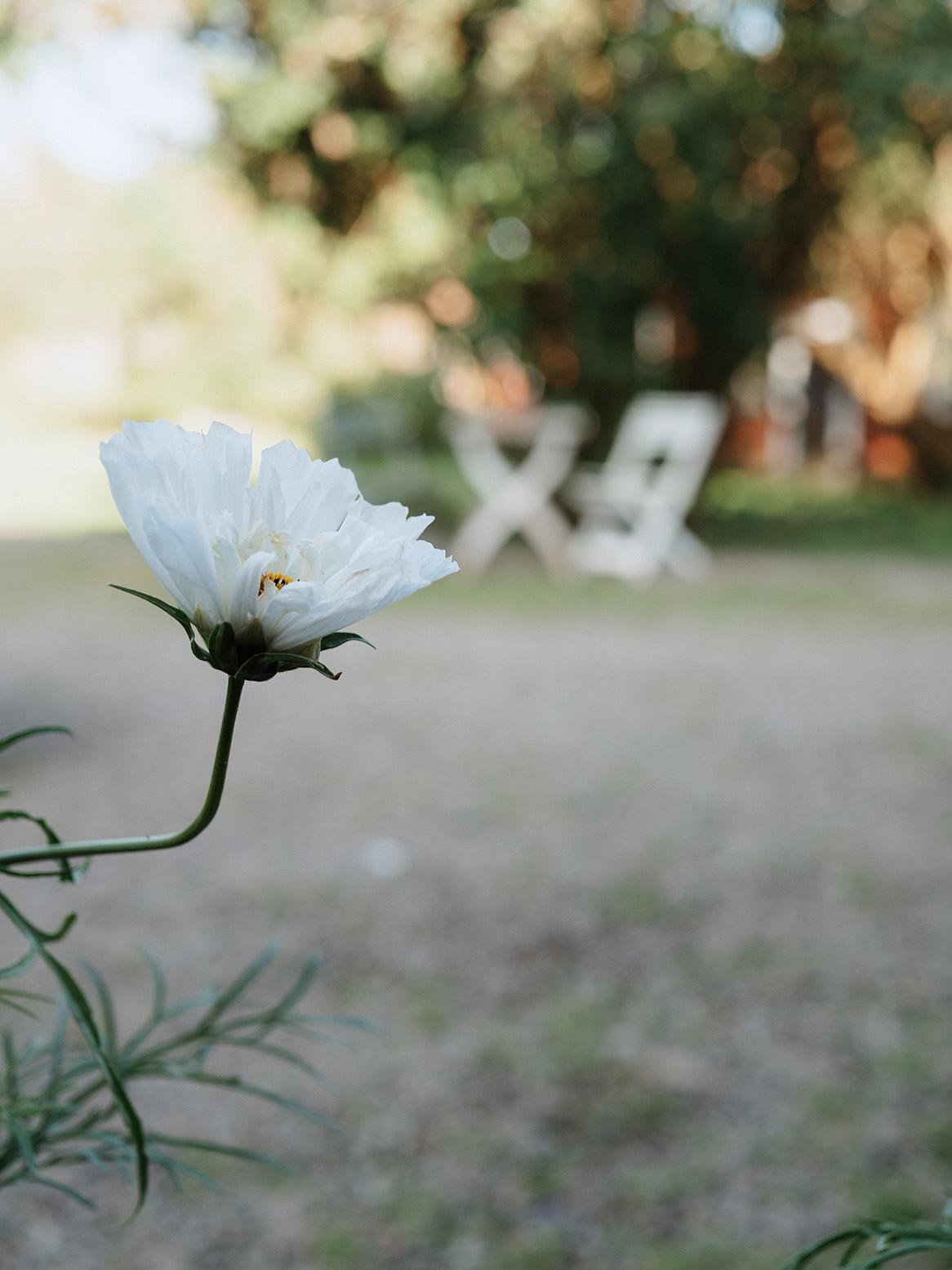 Johanna, prästgården och renovera hållbart