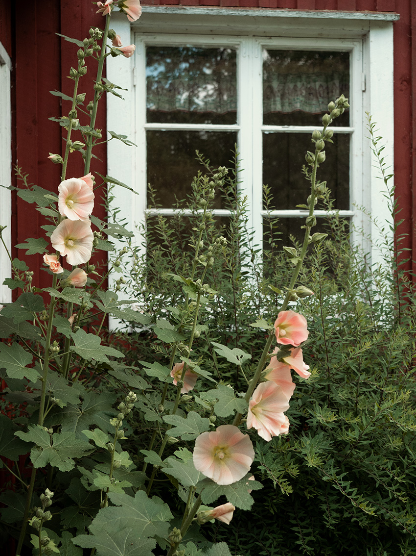 Johanna, prästgården och renovera hållbart