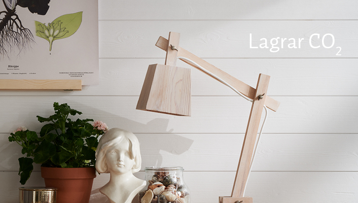 Lagrar CO2