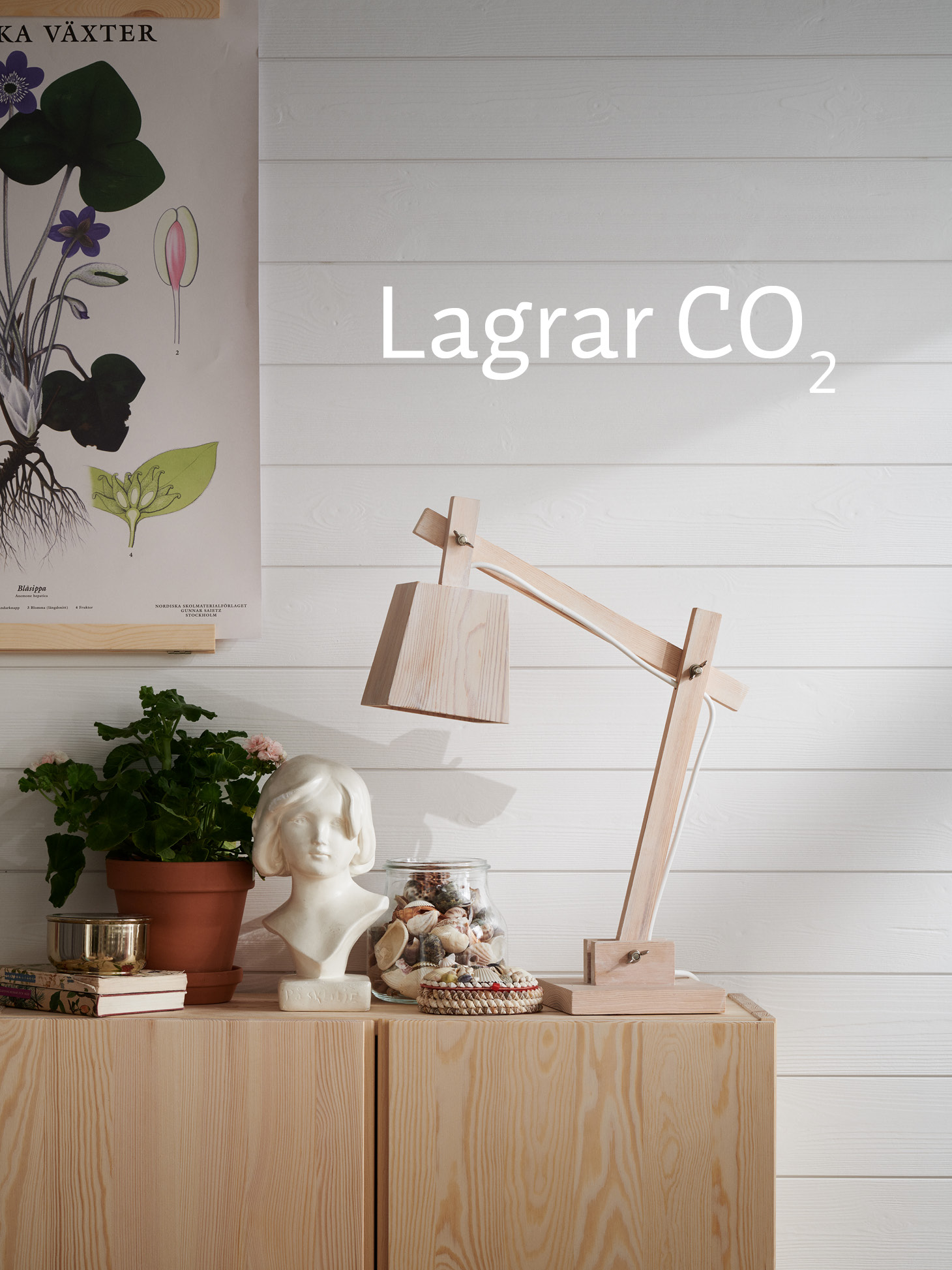 Lagrar CO2